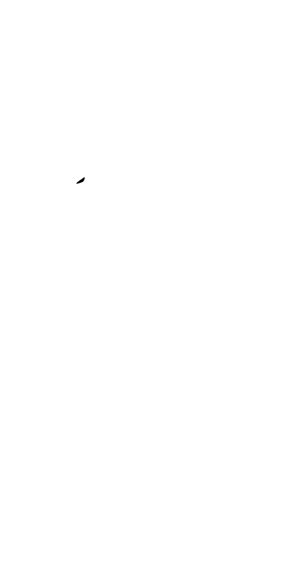 Digital Healthcare Solutions - Reconquering Medicine